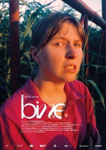 Poster of Fine