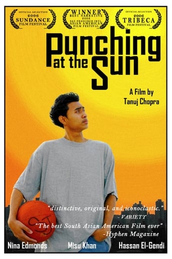 Poster of Punching at the Sun