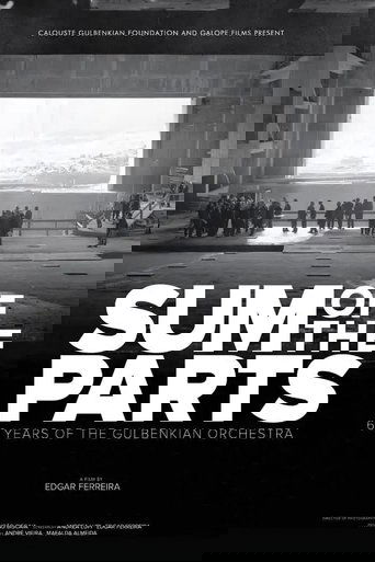 Poster of Sum of the Parts