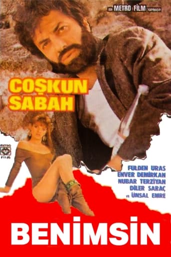 Poster of Benimsin