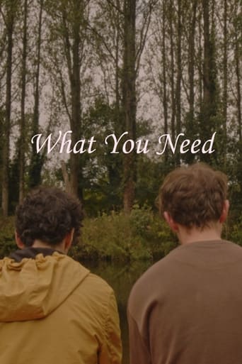 Poster of What You Need