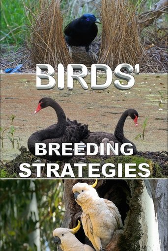 Poster of Birds' Breeding Strategies