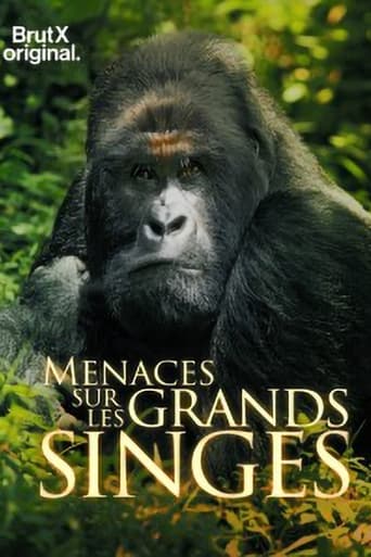 Poster of En danger : menaces sur les grands singes