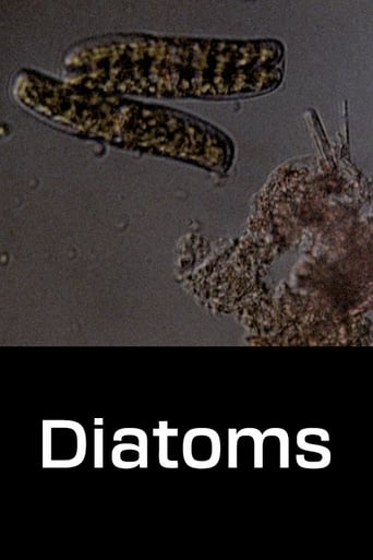 Poster of Diatoms