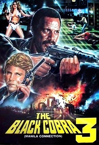 Poster of The Black Cobra 3