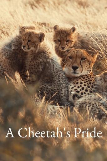 Poster of A Cheetah's Pride