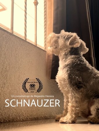 Poster of Schnauzer