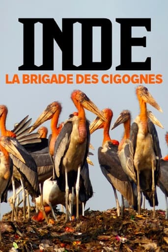 Poster of Inde, la brigade des cigognes