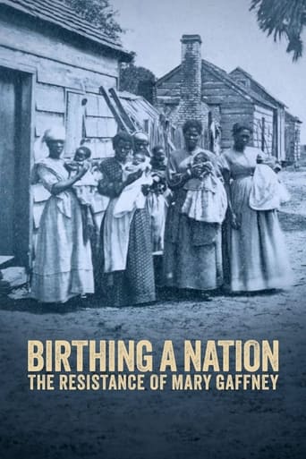 Poster of Birthing a Nation: The Resistance of Mary Gaffney