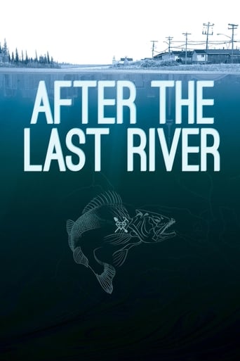 Poster of After the Last River