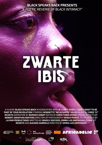 Poster of Black Ibis