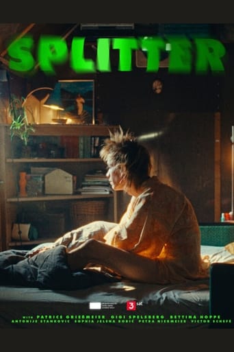 Poster of Splitter