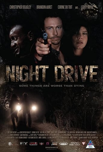 Poster of Night Drive