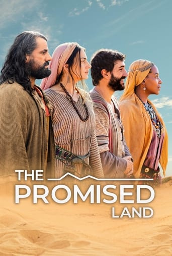 Poster of The Promised Land