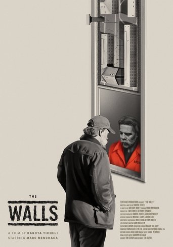 Poster of The Walls