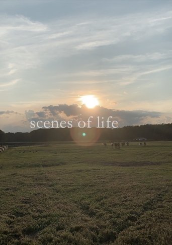 scenes of life Poster of scenes of life