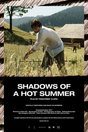 Poster of Shadows of a Hot Summer