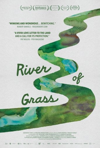 River of Grass Poster of River of Grass