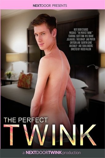 Poster of The Perfect Twink