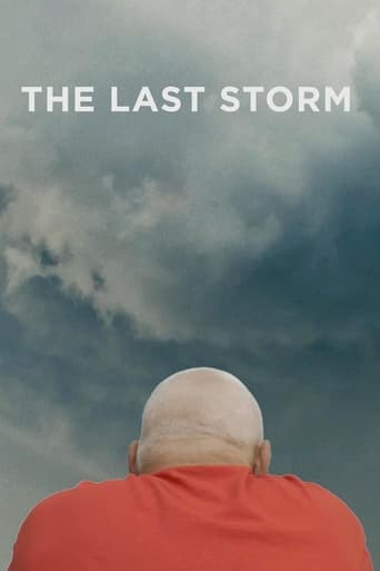 Poster of The Last Storm