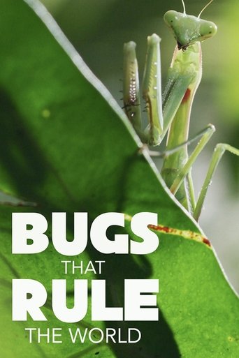 Poster of Bugs That Rule the World