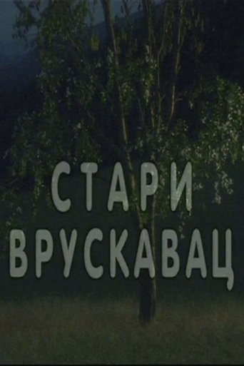 Poster of Stari vruskavac