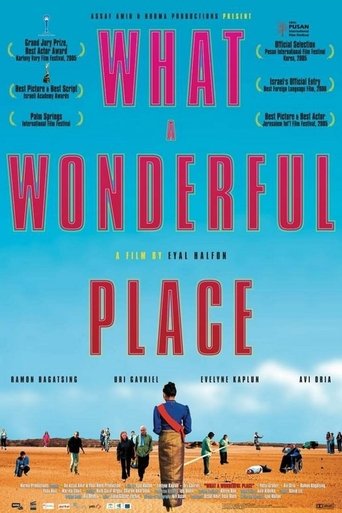 Poster of What a Wonderful Place