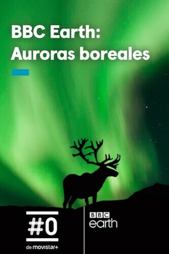 Poster of Gordon's Northern Lights Adventure