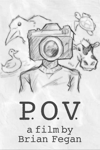 Poster of P.O.V.