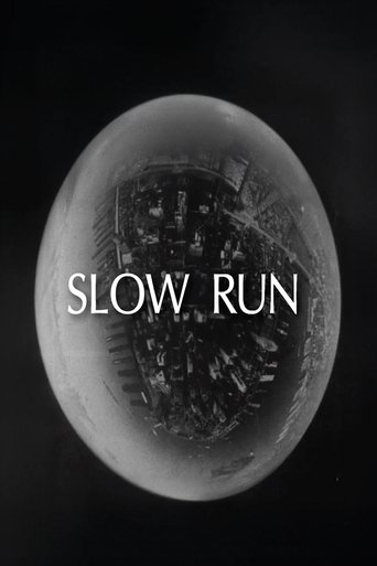 Poster of Slow Run