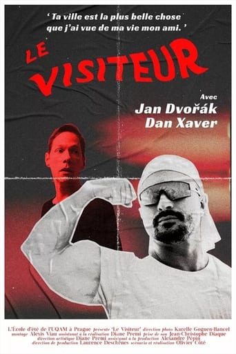 Poster of The Visitor