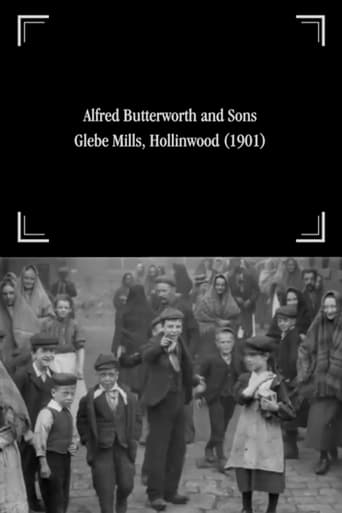 Poster of Alfred Butterworth and Sons, Glebe Mills, Hollinwood