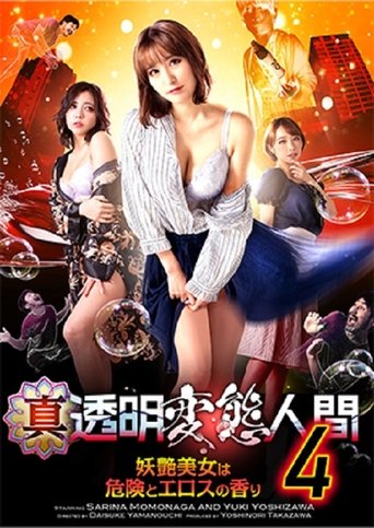 True Invisible Pervert 4 Poster of True Invisible Pervert 4