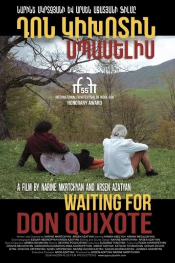 Poster of Waiting For Don Quixote