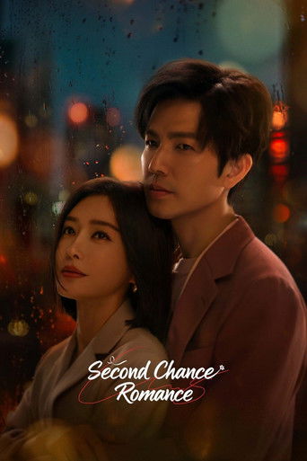 Poster of Second Chance Romance
