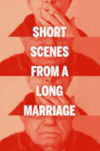 Poster of Short Scenes from a Long Marriage