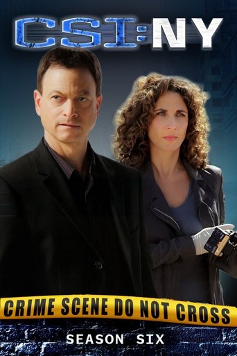 Portrait for CSI: NY - Season 6