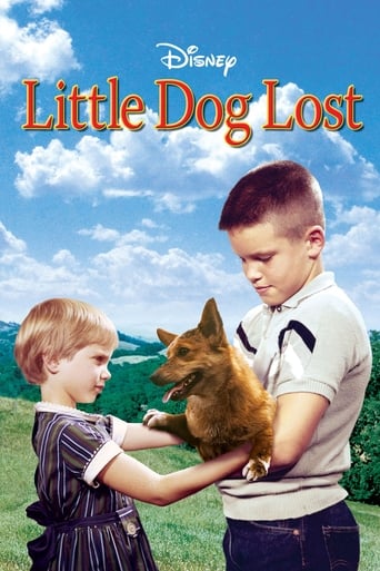 Poster of Little Dog Lost