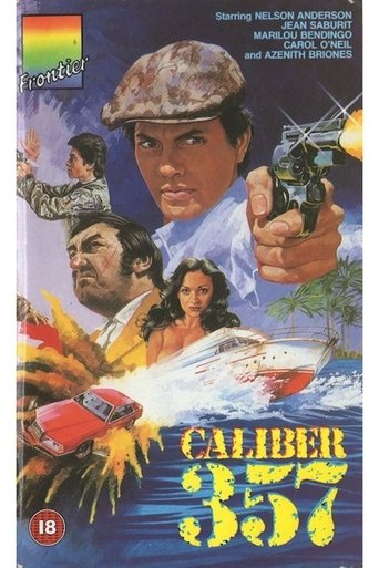 Poster of Calibre .357