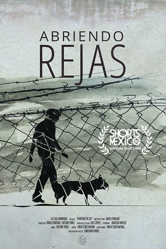 Poster of Abriendo rejas