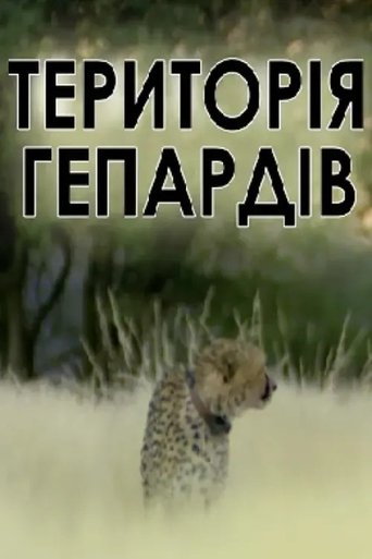 Poster of Man, Cheetah, Wild
