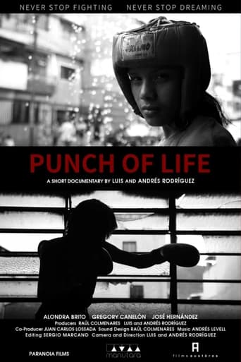 Poster of Punch of Life