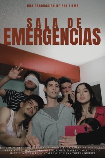 Poster of Emergency Room