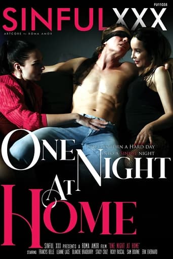 Poster of One Night At Home