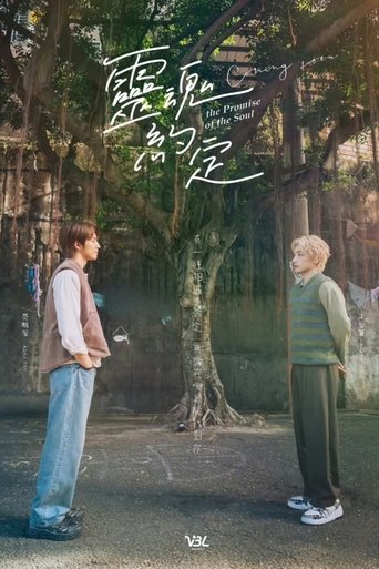 Poster of The Promise of the Soul