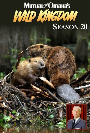 Portrait for Mutual of Omaha's Wild Kingdom - Season 20