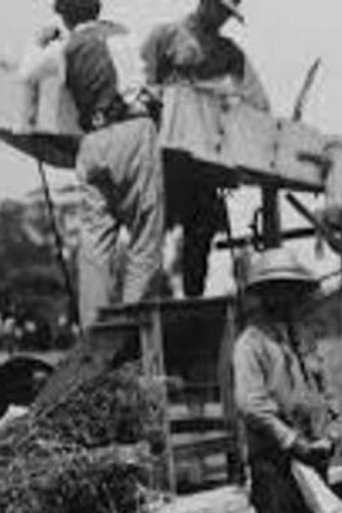 Trilladora Poster of Trilladora