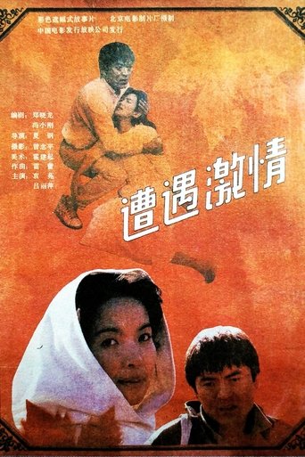 Poster of 遭遇激情