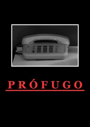 Poster of Fugitive
