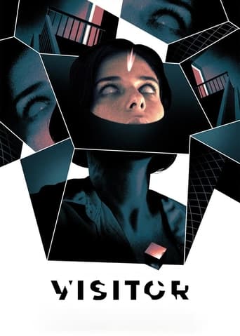 Poster of Visitor